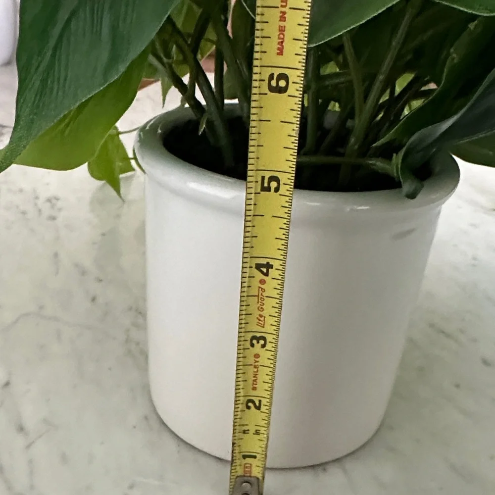 Threshold  Ivy/Pothos Faux Plant in White Pot